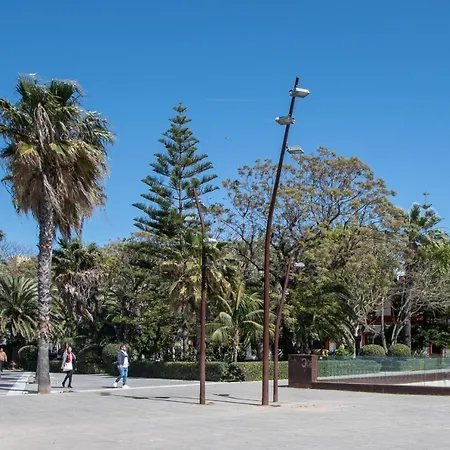 La Araucaria - Cadiz