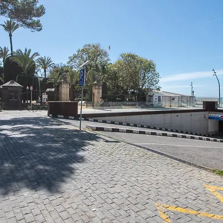 La Araucaria - Cádiz