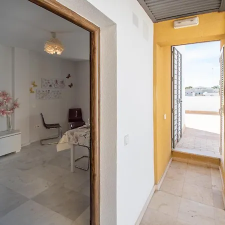 La Araucaria - Cádiz