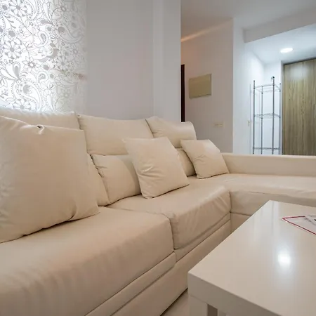 La Araucaria - Cádiz