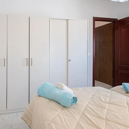 La Araucaria - Cádiz