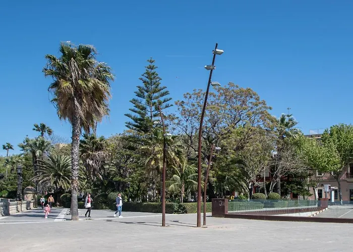 La Araucaria - Cadiz