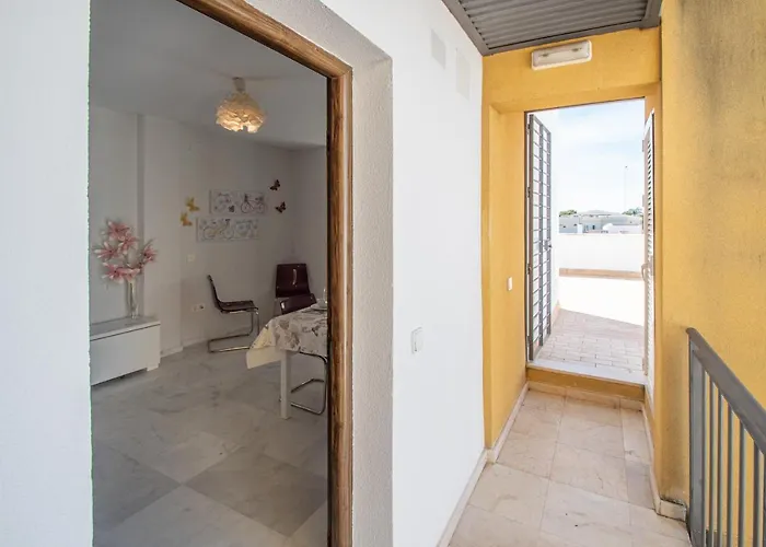 La Araucaria - كاديز